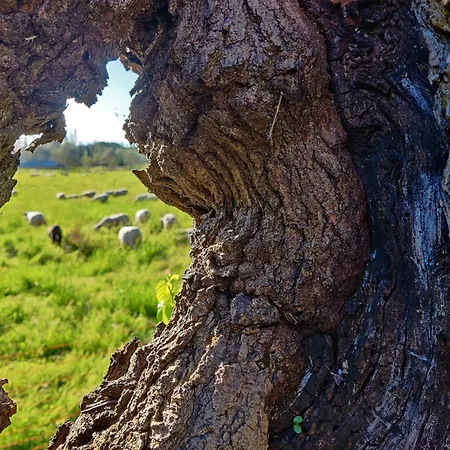 Proche De La Bambouseraie Сasa de vacaciones